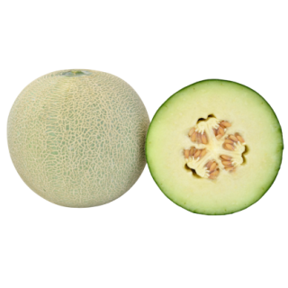 Swati Muskmelon From  Known You Seed (India) (1)KYI